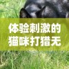 实况球会经理人游戏是否依然耐玩？挖掘其持久魅力的关键要点分析