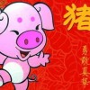 鸡、牛、虎、猪:香港十二生肖游戏同管家婆100精准谜底答案,权威释义、解释与落实-拒绝不实的假承诺语