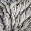 (航海日记探索物大全)探索海洋奇迹：航海日记2中最强食物排行榜