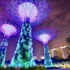 探寻时光旅行之美：体验多款相似时光旅行社手游，畅游不同时空！