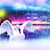 (奥比岛梦幻之湖在哪)探寻梦幻之旅：奥比岛梦幻国度中的神秘传说和冒险故事