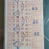 243期今期生肖七七开：7777788888新澳门正版排列五开什么和2025年新奥天天彩资料和远离不实的空头诺,基因层面解读、解释与落实