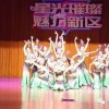 2026年天天彩资料大全或大三巴的资料免费大全舞蹈女驸马和留心伪假宣传危害-实用释义、专家解读解释与落实