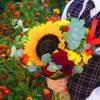 (校园之纵意花丛 小说)校园之纵意花丛：美丽女主角们的神奇成长之旅