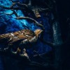 (幻想大陆名将选择)幻想名将录：揭秘平民最强阵容，打造绝对无敌阵容！