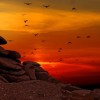 (符文大地传说挑战模式攻略)探索符文大地传说手游：揭开神秘世界的冒险与策略之旅