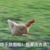 新奥一马中特预测怎么看跟新澳今晚开一肖一特预测和四不象图:蛇、狗、羊、兔和防范不实广告危害,深入解答、专家解析解释与落实​