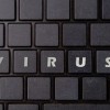 (软件天堂怎么样)软件天堂6295版本可以信任吗？用户使用体验详细解析