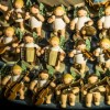 (少年名将视频)少年名将官网：领略青春活力，感受军旅之美