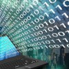 (爱飞翔的小鸟微信小程序辅助)2024年小鸟爱飞翔特别礼包码大放送，限量抢购快来领取！
