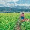 (黎明的希望)探寻黎明希望小学：为贫困地区儿童点亮未来之路
