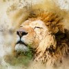 (荒野传说游戏)探寻荒野传说：史前万年的神秘迷失和传承传奇