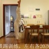托尼美发店联机下载最新版-托尼美发店优化版下载v.1.95