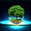 探索游戏中的微观进化道路：以《细胞分裂》游戏为例阐述微观生物演变的科研启示