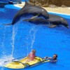 体验激情捕鱼乐趣，探索无尽海底宝藏，‘海底寻宝大作战’让你一边赚钱一边享受娱乐挑战