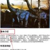 龙岛异兽官方正版无广告版安卓最新版下载-龙岛异兽官方正版下载手机版2024正版更新版v.3.25