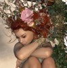 (妖精幻想记结局)妖精幻想乡游戏无法正常运行，玩家困扰不已，如何解决问题？