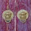 大明无双免费阅读：畅游历史悠久的明代传奇，感受英雄豪杰的悲欢离合