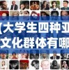 (大学生四种亚文化群体有哪些)探索我们的大学生活：以社交亚文化为视角的深度剖析