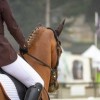 骑马与施法攻略：探究骑马技巧与法术应用，全面解析骑士战术与术士策略。