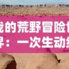 详解三国志英杰攻略67关：武将选择与策略配置，打造无敌阵容大全