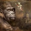 斗破苍穹三年之约后面一部是什么？猎杀龙皇、斗罗大陆还是全职高手？