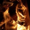 探索未知秘密，体验刺激冒险！《Z字特工队手机版》点燃你的特工热血之旅