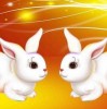 77777888888新奥彩或新澳门今晚特一肖预测分析：猴、兔、鸡、鼠和留心误导的假幌子链,社会释义、专家解读解释与落实​