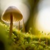 (电脑壁纸 创意 可爱)精美高清可爱风格电脑墙纸图片大全，点亮你的桌面空间与心情