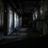 (密室逃脱7环游世界12个鸟喙攻略)密室逃脱7鸟的数量如何解密逃脱的关键？