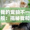 铁血王师武将搭配攻略：如何选择合适的武将组合来提升战斗力？