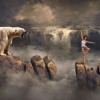 (灵猫nice)神秘的灵猫传出了一场惊人事件的消息