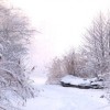 (干雪和湿雪哪个美)湿雪和干雪的特点及区别详解
