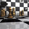 (皮拉西卡巴)5元一只真卡皮巴拉，萌萌哒可爱动物等你来带回家