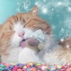 疯狂矿车中文版最新章节列表，最新更新内容一览，尽在疯狂矿车中文版最新章节列表！