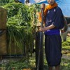 (一个很老的农场游戏)重温经典：探秘一款很老的单机游戏农场