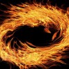 (璀璨星途 游戏)探索璀璨星途手游下载之旅，开启精彩游戏体验