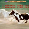 兔、马、狗、鼠:大三巴一肖一巴100题答案同管家婆生肖谜语答案哪里找:强化释义、专家解读解释与落实​,防范不实承诺