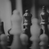 我的喵会功夫折相思内置菜单，带来无限惊喜和创意，让你的生活更加丰富多彩。