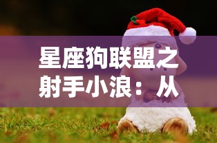星座狗联盟之射手小浪：从流浪狗到抖音红人的传奇人生旅程揭秘