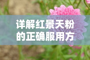 详解红景天粉的正确服用方式：适量标准、服用时间和搭配的注意事项