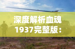 深度解析血魂1937完整版：抗日战争的血与泪，全面展示中国人民的抗战精神和民族魄力