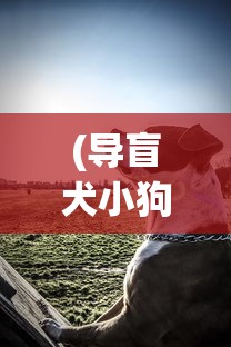 乌龙院1笑林小子：探讨中西文化交融下的喜剧元素创新与人物塑造