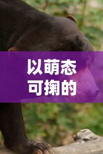 以萌态可掬的小猫猫猫偷外卖引发社区关注，揭示人与动物和谐共处的重要性