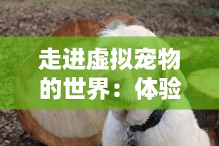 走进虚拟宠物的世界：体验萌喵宠物店游戏的细腻设计与终极玩家体验