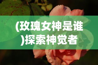 探讨真三国无双霸赵云在哪个州出现的频率最高：确保您的成功策略
