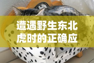 遭遇野生东北虎时的正确应对策略：保护生命和规避危险的实用指南