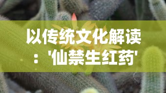 探索奇幻世界：详细解读龙族血统等级划分表与其在龙族社会地位的影响