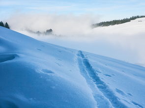 (川西滑雪的地方)川西冰雪旅游：冰雪玩乐，热门景点火热升温