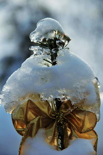 (凛冽寒冬挑战部落冲突)冰雪覆盖的世界,凛冬部落阵容搭配攻略大揭秘! (凛冽寒冬挑战部落冲突)冰雪覆盖的世界,凛冬部落阵容搭配攻略大揭秘!